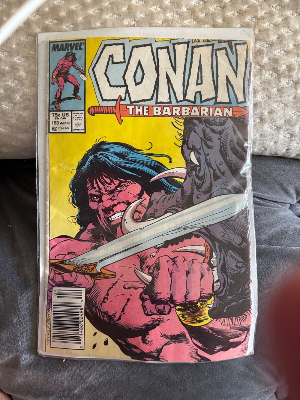 Marvel Conan The Barbarian Wall Art - Pink, Yellow & Blue